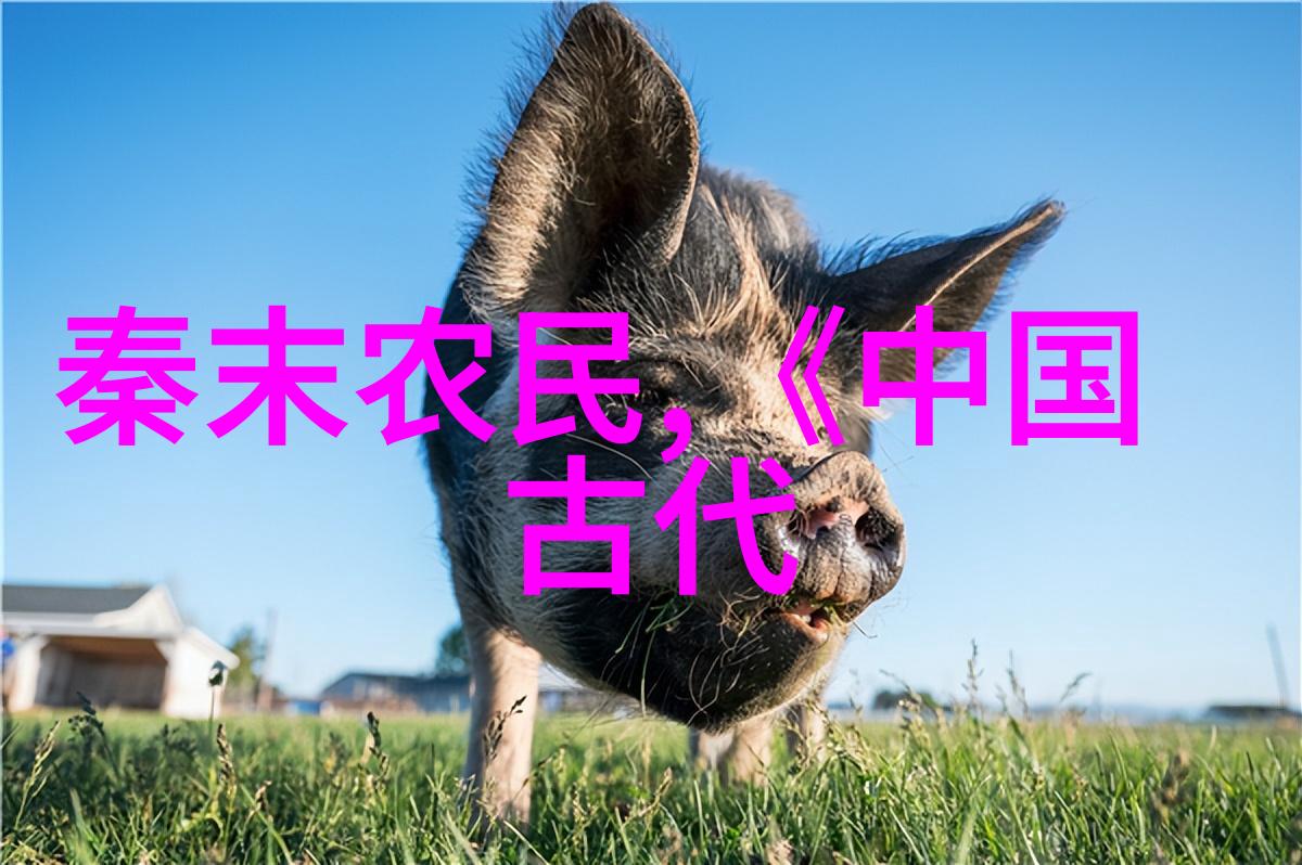 霍元甲的死因揭秘